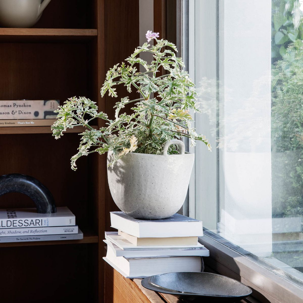 Speckle Pot - Small - Off White-2