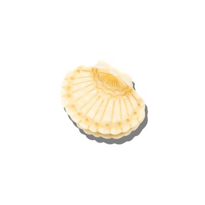 Seashell, Hair Claw Clip