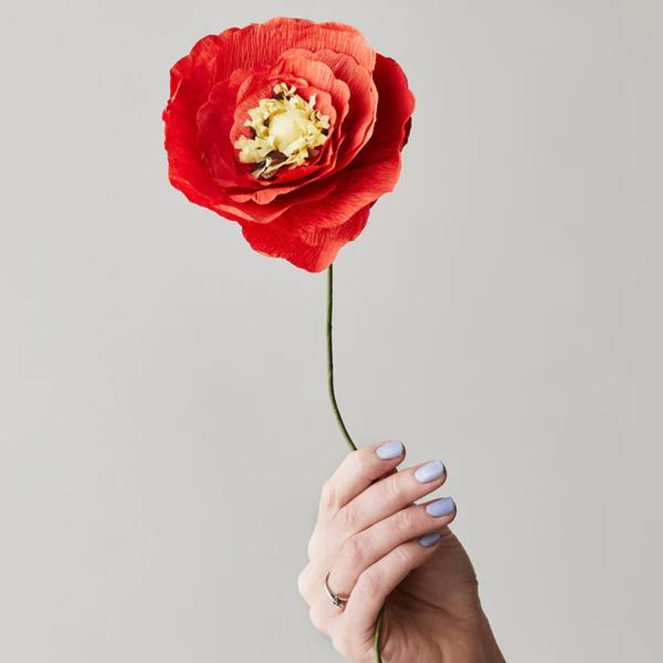 Studio About - Paper Flower - Χάρτινο Λουλούδι - Κόκκινο - Ice Poppy 