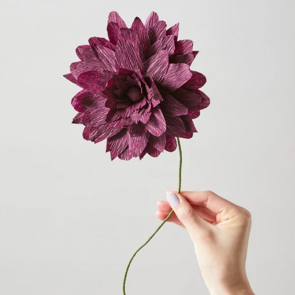 Studio About - Paper Flower - Χάρτινο Λουλούδι - Μελιτζανί - Grand Dahlia 