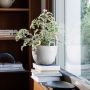 Speckle Pot - Small - Off White-thumb-2