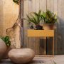 Plant Box - Straw-thumb-2